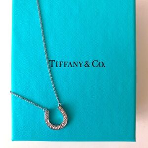 Tiffany Horseshoe Diamond Necklace Platinum PT950 TIFFANY&Co.